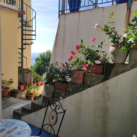 Rifugio Stellato Bed & Breakfast Conca dei Marini Luaran gambar